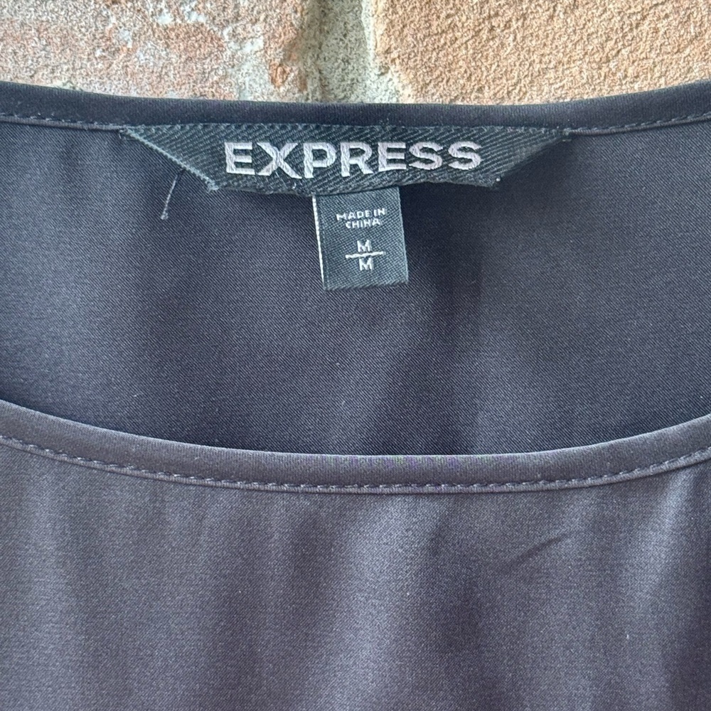 Express Dress - Picture 4 of 6